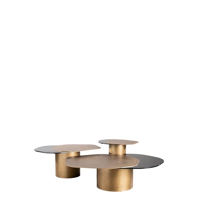 Irregular Shape Modern Organic Coffee Table For Sale - Image 10 of 10