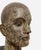 John Davies, Rare Cast Painted Bronze Head Sculpture British Realist Sculptor John Davies, 1991 For Sale - Image 14 of 16