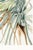 Wild Pineapple, Vintage Botanical Art Print Reproduction, 24" X 36" For Sale - Image 9 of 9