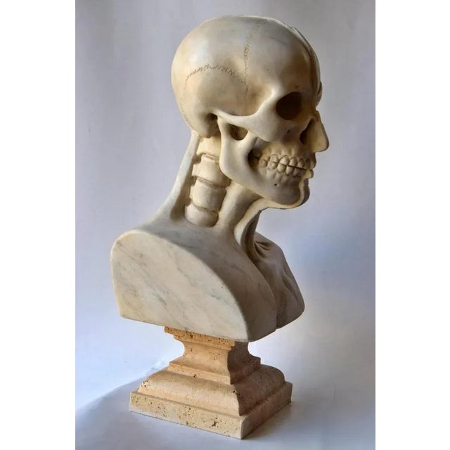 Stone Anatomical Sculpture, Early 20th Century, Marble For Sale - Image 7 of 11
