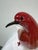 Hand Blown Vintage Red + Gold Murano Bird Figurines, Set of Two For Sale - Image 4 of 12