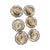 White Set of Six Antique English Coalport Indian Tree Scalloped Flat Bouillon Cups & Saucers, Circa 1891–1919 For Sale - Image 8 of 8