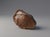 Handblown Crystal Vase With Natural Gobi Desert Stone – Sculptural Flower Vase For Sale - Image 4 of 6