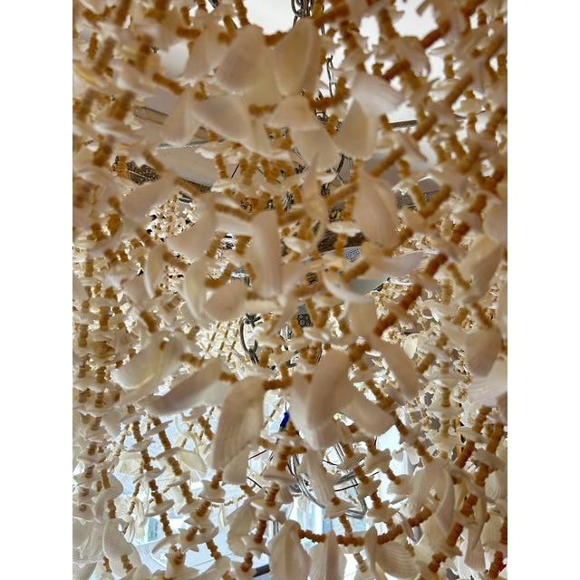 Shell Made Goods Cascading Shell Chandelier For Sale - Image 7 of 11