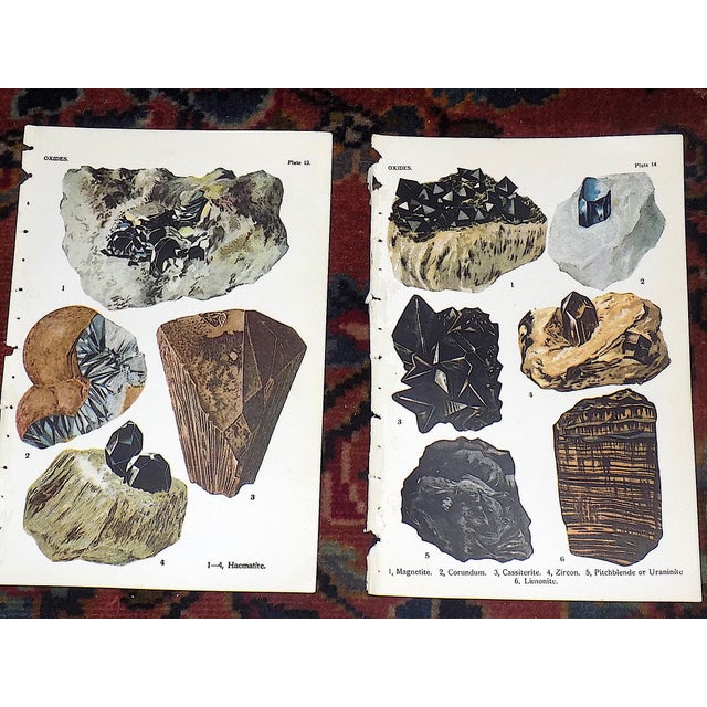 This set of twelve (12) authentic antique lithographs (offset) depicts many types of minerals in their natural form, all...