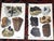 This set of twelve (12) authentic antique lithographs (offset) depicts many types of minerals in their natural form, all...