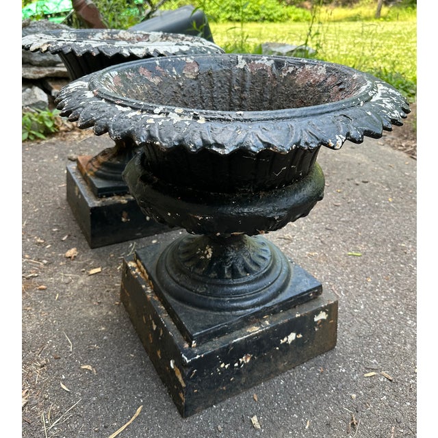 Victorian Late 19th Century Victorian Cast Iron Garden Urns - A Pair For Sale - Image 3 of 15