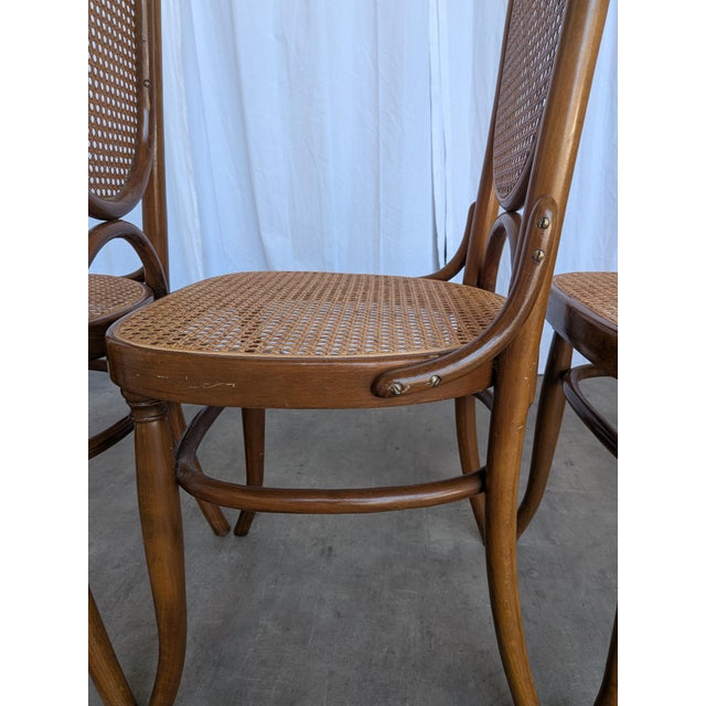 Mid-Century Modern Bentwood Cane Dining Chairs, 1970s, Set of 4 For Sale - Image 11 of 18