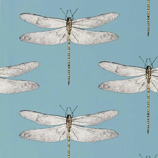 Harlequin Demoiselle Wallpaper in Cornflower/First Light/Honey - a Sample For Sale