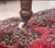 Antique Victorian Eastlake Walnut Armchair With Porcelain Casters & Blue Floral Upholstery For Sale - Image 10 of 10