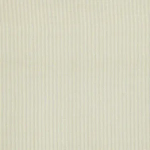 Schumacher Charee Silk Stripe Fabric in Light Blue & White