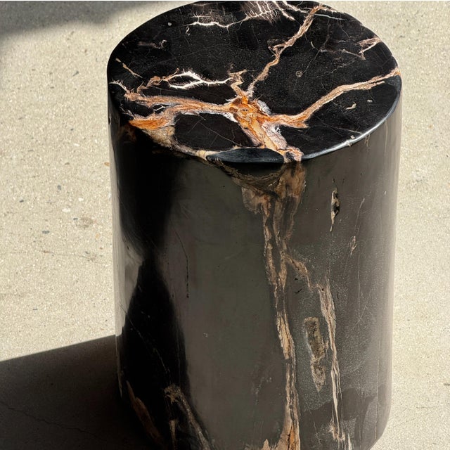 Side Table in Black Petrified Wood with Beige Star Pattern For Sale - Image 16 of 18