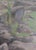 Mountain Landscape Antique Oil Painting Original Soviet Art Ukrainian Artists Sokolovsky g.g. 1973 80-59.5 For Sale - Image 4 of 6