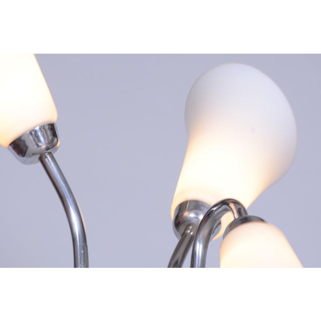Czech Art Deco Floor Lamp in Chrome, Opal Glass and Lacquered Wood, 1930s For Sale - Image 12 of 15