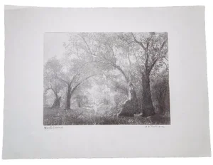 Domenico Riccardo Peretti Griva Vintage Bromoil