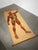 Vintage School Board Muscle of Man, Germany, 1950s For Sale - Image 6 of 6