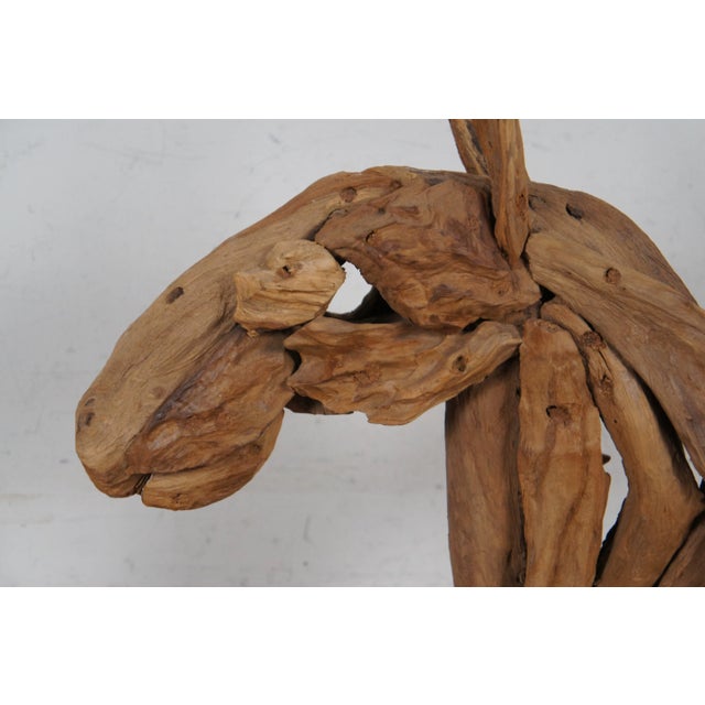 Wood Vintage Abstract Modern Teak Driftwood Horse Head Bust Sculpture Statue For Sale - Image 7 of 10