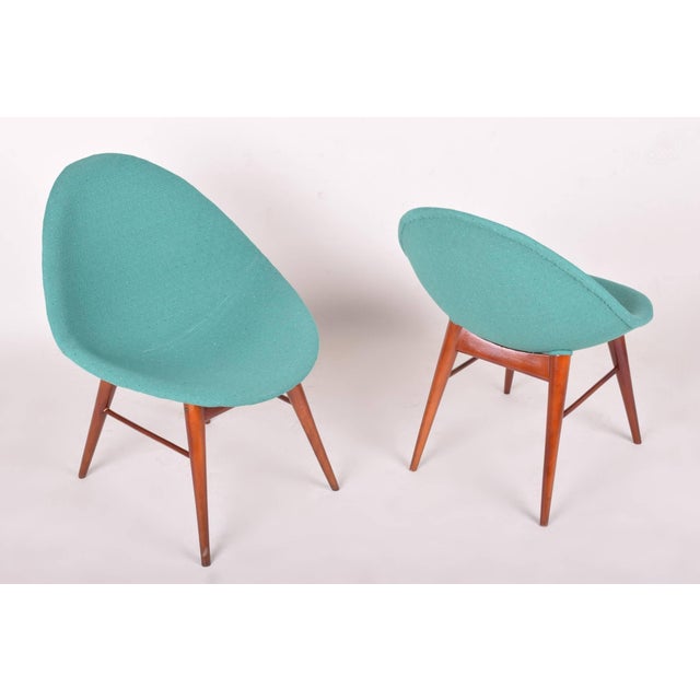 1950s Mid-Century Chairs, Czechoslovakia, 1960, Set of 2 For Sale - Image 5 of 7