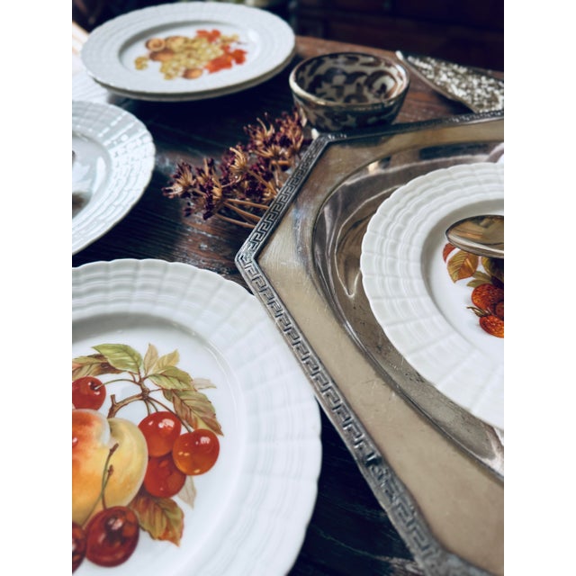 Vintage Hutschenreuther German Fruit Plates – Set of 6 For Sale - Image 9 of 12