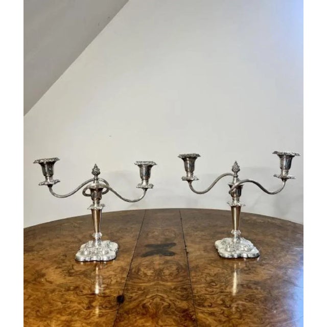 1900 - 1909 Edwardian Silver Plated Ornate Candleholders, 1900s, Set of 2 For Sale - Image 5 of 9