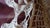 Antique Bobbin Lace Bed Throw For Sale - Image 17 of 18
