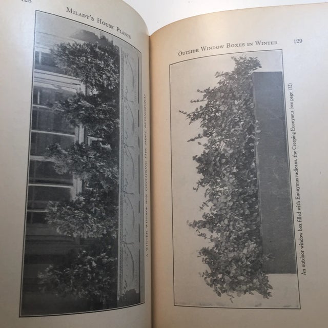 Green 1929 "Milady's House Plants" Hardcover Book For Sale - Image 8 of 11