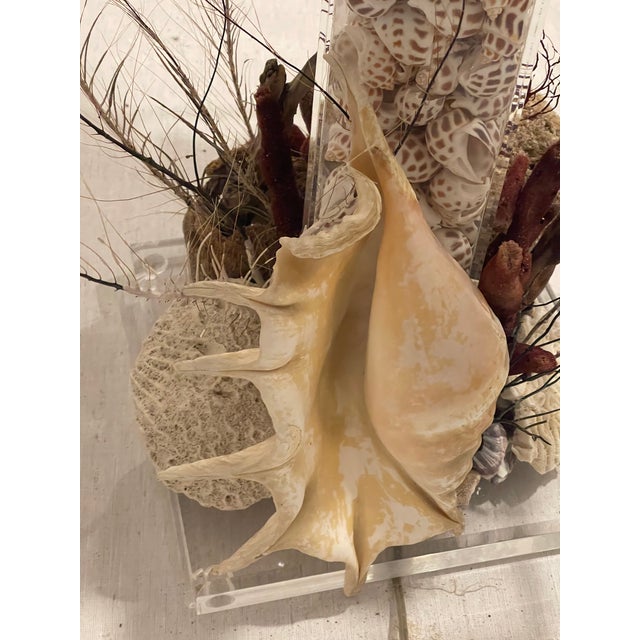 Tan Vintage Grotto Sea World Sea Shells Floor Lamp For Sale - Image 8 of 11