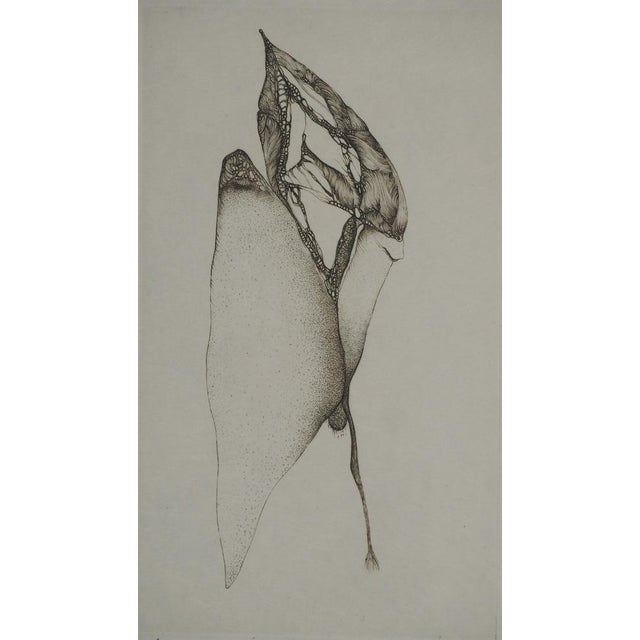 Fred deux (1924-2015) relative, 1972 original engraving (moret workshop) signed in pencil numbered out of 99 copies on...