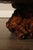 Mid 20th Century The Burlwood Co. Star Dust Redwood Burl Live Edge Coffee Table For Sale - Image 5 of 18