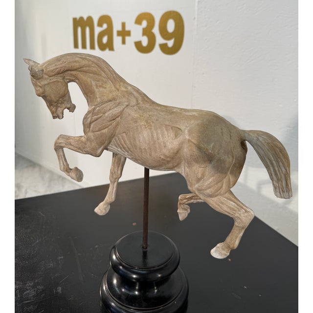 Cream Hand-Carved Anatomical Horse Model on Stand For Sale - Image 8 of 8