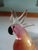 Glass IItalian Vintage Cockatoo For Sale - Image 7 of 8