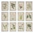 Schumacher x Johnson Hartig Garden's Trust Wallcovering in Porcelain Blue For Sale