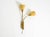 Beige Mid-Century Modern Brass Wall Lamp with Gooseneck and Double Shade by Cosack Leuchten, 1950s For Sale - Image 8 of 18