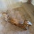 Tan Vintage Hand Carved Wooden Double Headed Ram Sculpture For Sale - Image 8 of 10