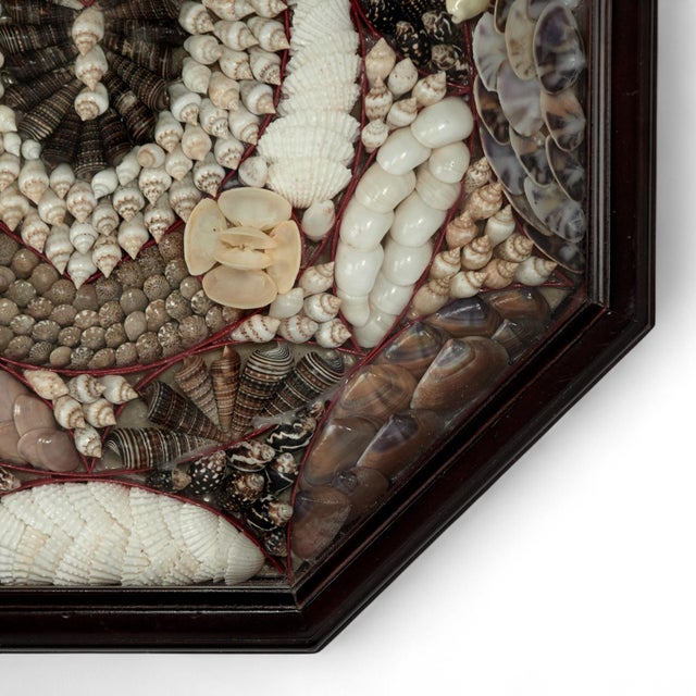 Brown Vintage Sailors Valentine For Sale - Image 8 of 9