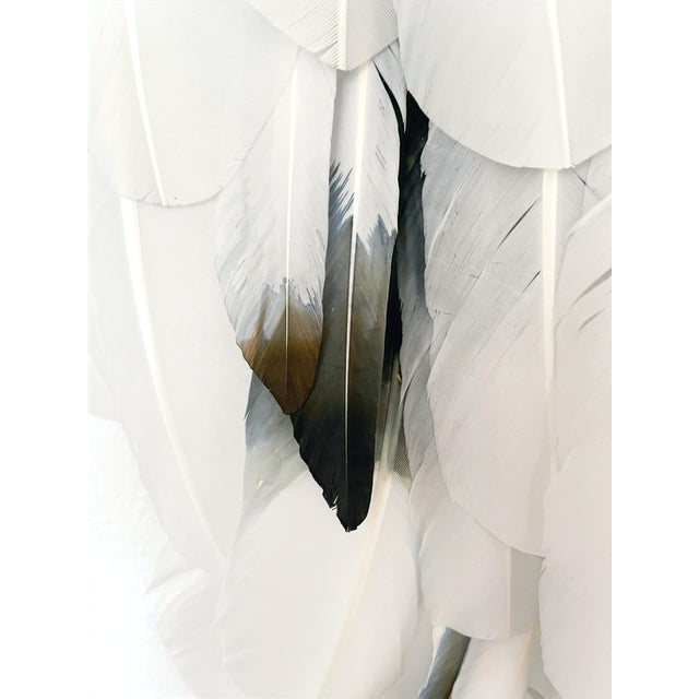 Plumage and Obsidian Kristen Leigh Baker | 2025 Medium: Ethically sourced hand selected feathers, driftwood and hand-...