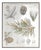 Framed Pine Encyclopedia Print 15.5"H For Sale