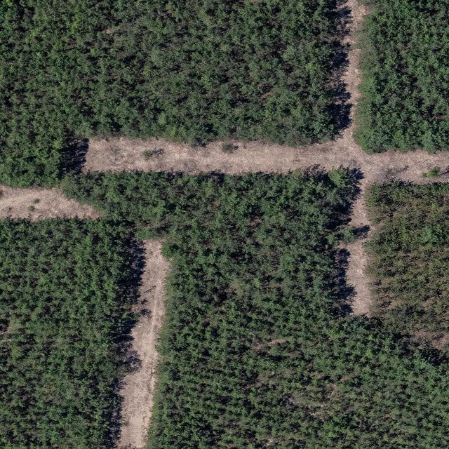 Bernhard Lang, AV_Forests_in_Formation_002, Aerial View, 2025, Print For Sale - Image 4 of 7