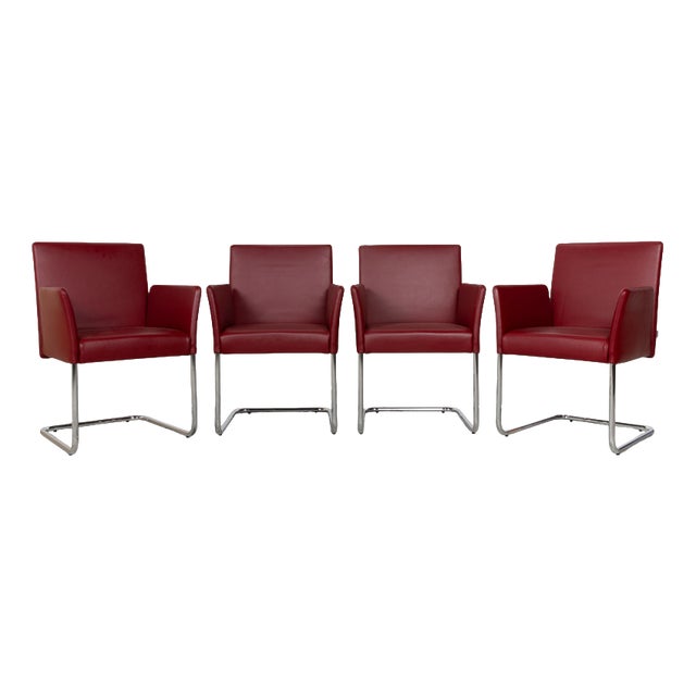 Jason Leather Cantilever Chairs in Red from Walter Knoll and Wilhelm Knoll, Set of 4 For Sale