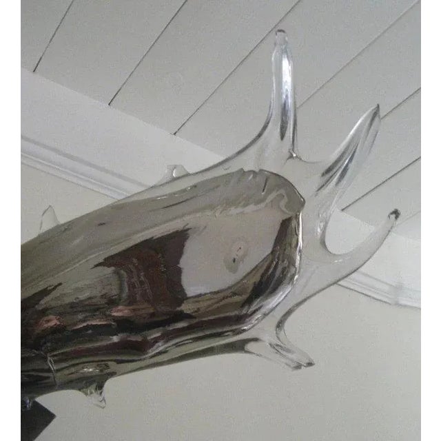 Contemporary Glass Mounted Moose Head by Esque Aspen For Sale - Image 4 of 10