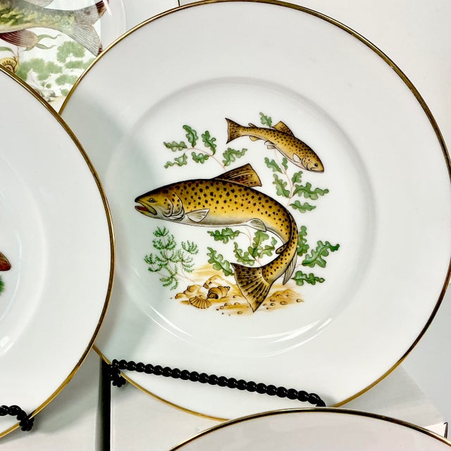 1960s Vintage Adirondack Rustic European Porcelain Fish Dinnerware - 9 Piece Set. For Sale - Image 14 of 17