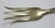 Pretty Antique American Sterling Silver Colorful Enameled Pickle Fork For Sale In Boston - Image 6 of 13