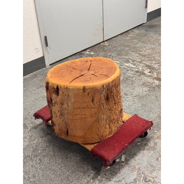 Organic Modern Live Edge Tree Side Table/Stool For Sale - Image 4 of 12