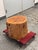 Organic Modern Live Edge Tree Side Table/Stool For Sale - Image 4 of 12