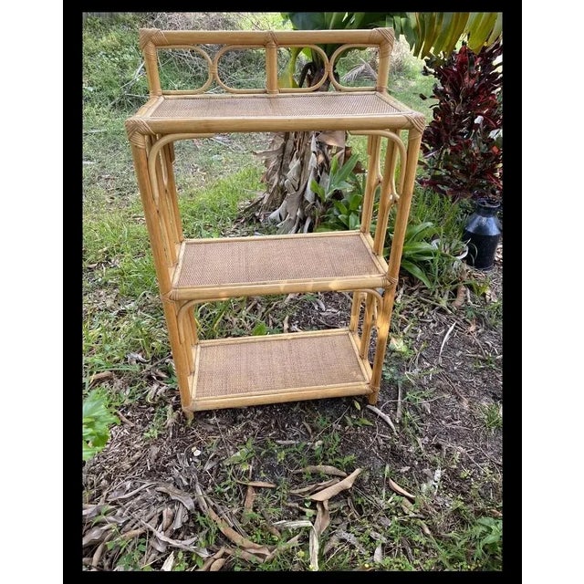 Mid 20th Century Bamboo Shelving Unit and Storage. Mid Century Modern Bamboo Display Shelf . Wicker and Bamboo Display Stand For Sale - Image 5 of 10