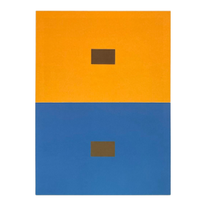 2009 Josef Albers the Interaction of Color Plate Iv-3