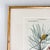 Antique White Antique "Conifères" Framed Botanical Etched Illustration, 1800's French Pine Tree Art For Sale - Image 8 of 14