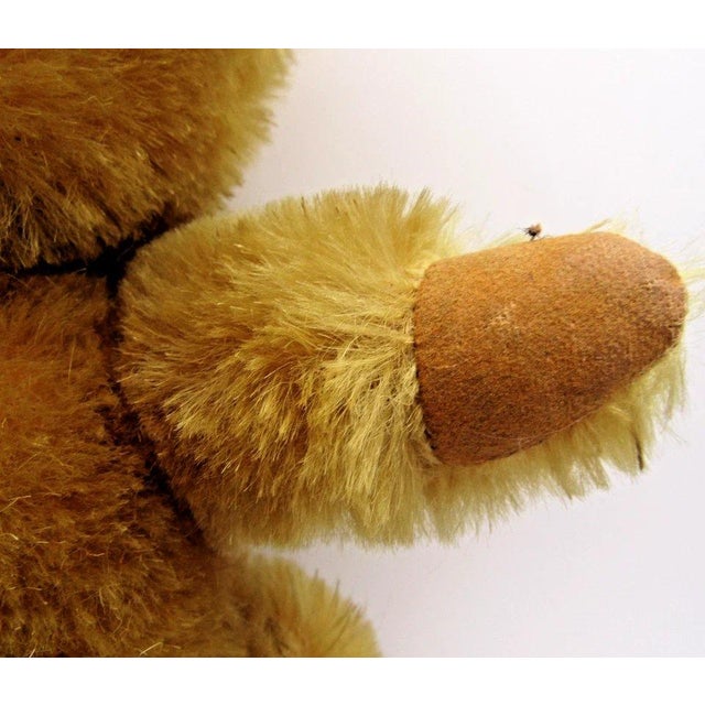 Hollywood Regency 1960s Uk Farnell Golden Mohair Bear With Working Squeak Box Excellent Condition For Sale - Image 3 of 9
