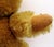 Hollywood Regency 1960s Uk Farnell Golden Mohair Bear With Working Squeak Box Excellent Condition For Sale - Image 3 of 9