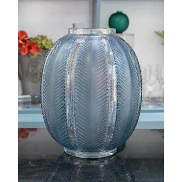 René Lalique - "Biskra" vase in opalescent glass enhanced with a blue patina. Sandblasted signature on the stamp. Model...